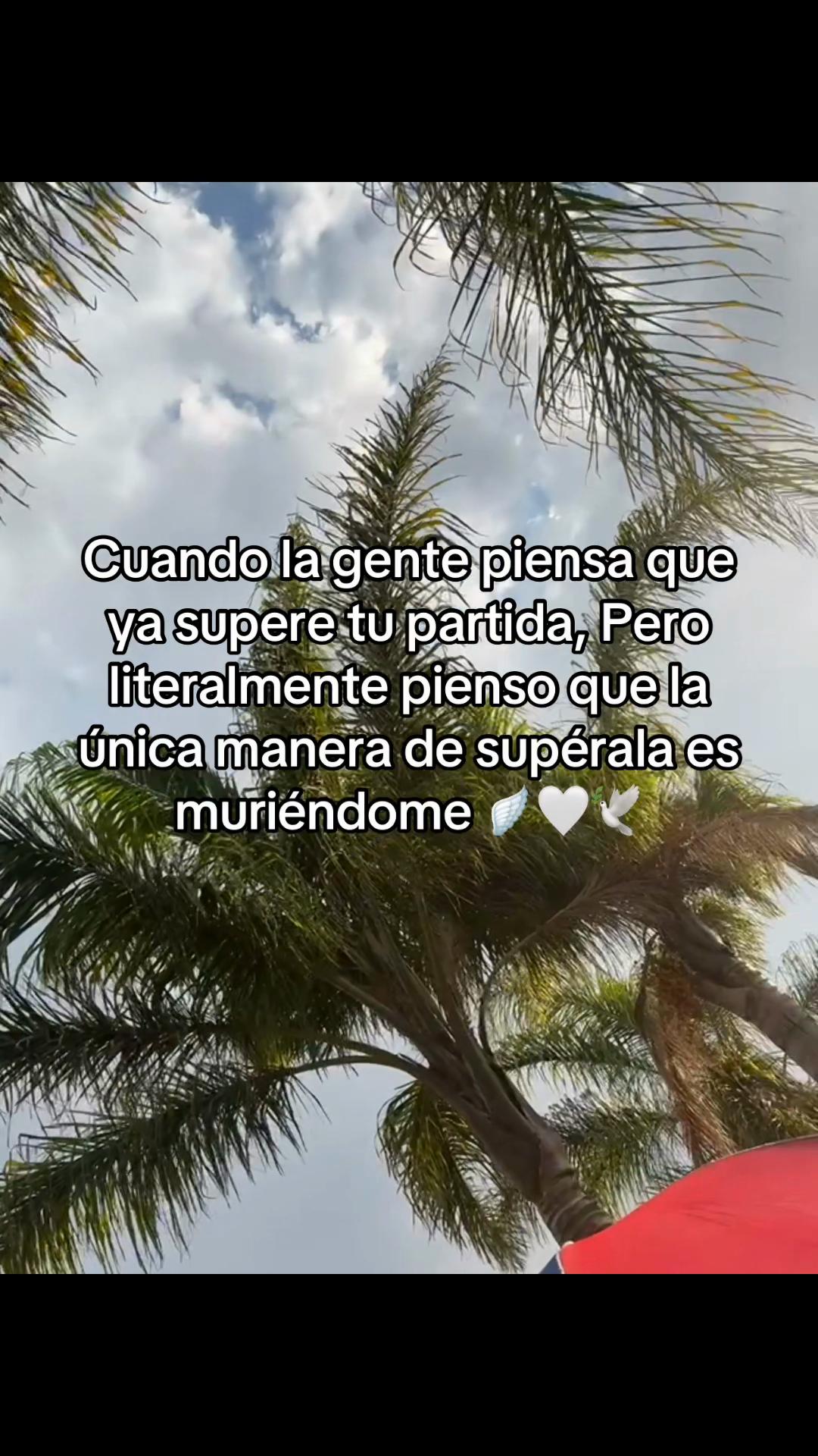 @Polito_777