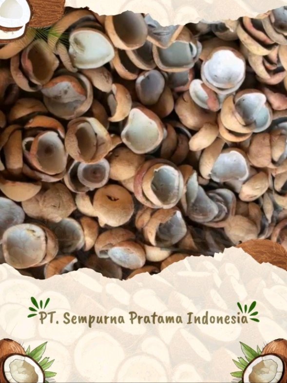 @Sempurna Pratama Indonesia