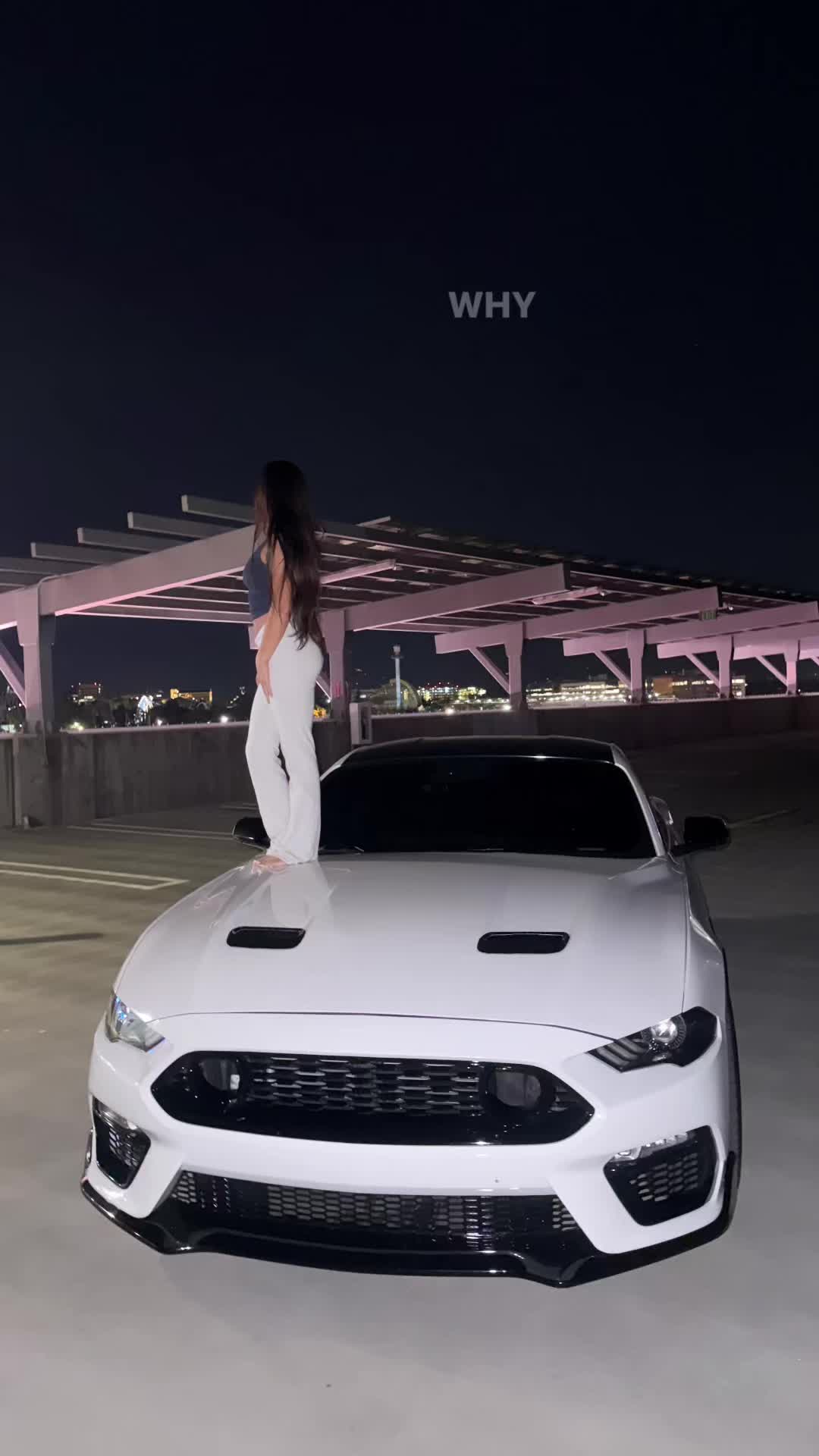 @Jalen.cs