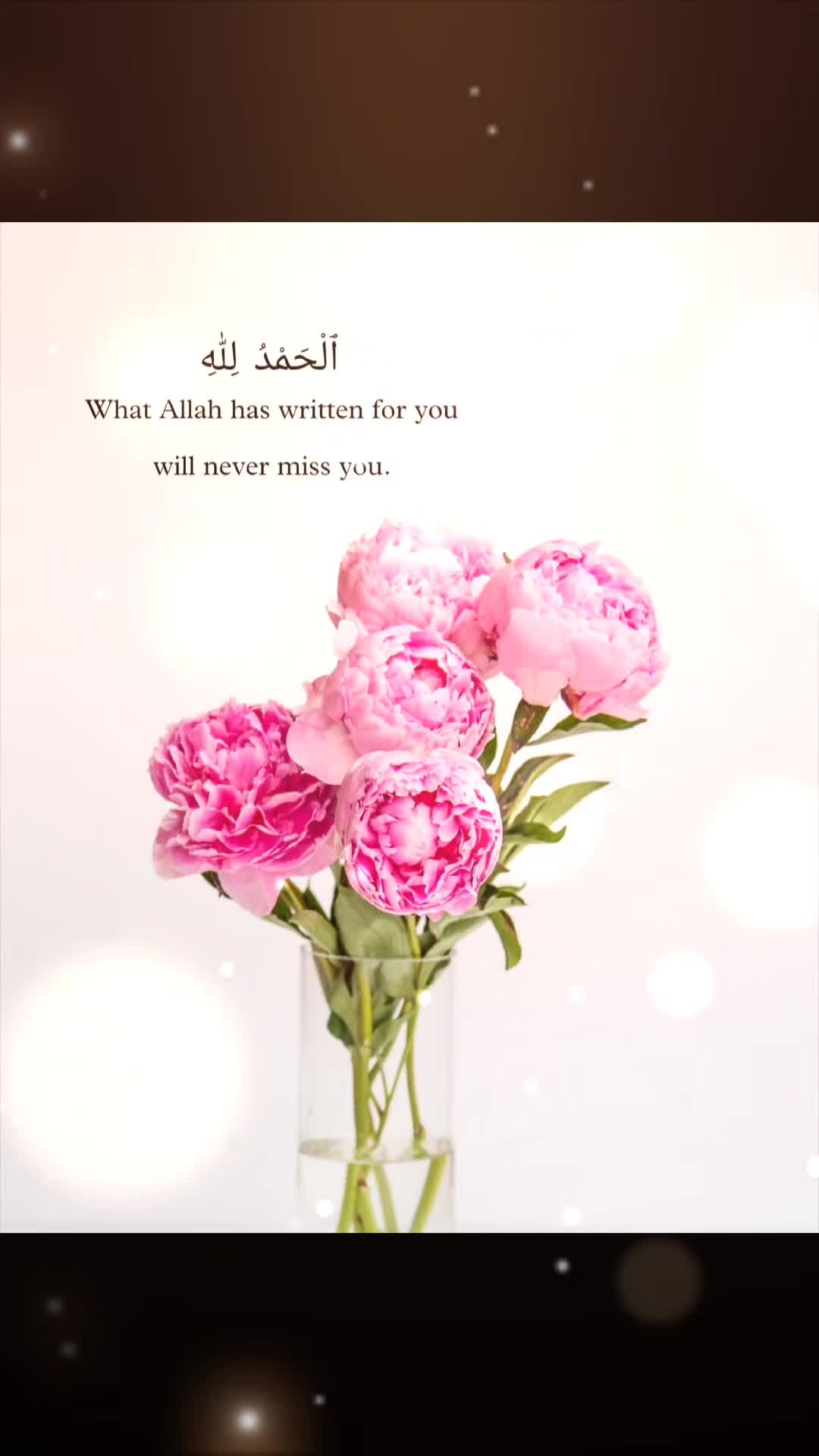 @BinaBibi