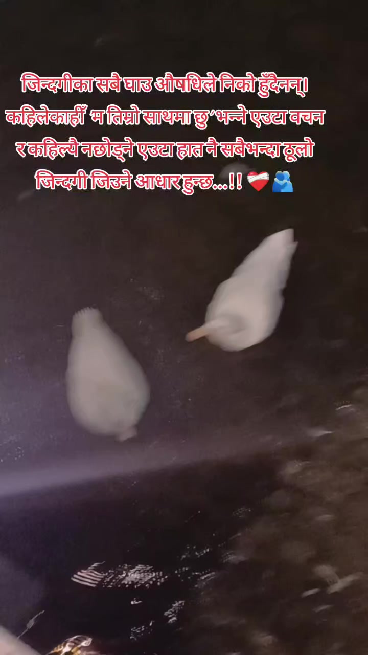 @Tamangni dong sya😌🇳🇵🇦🇪