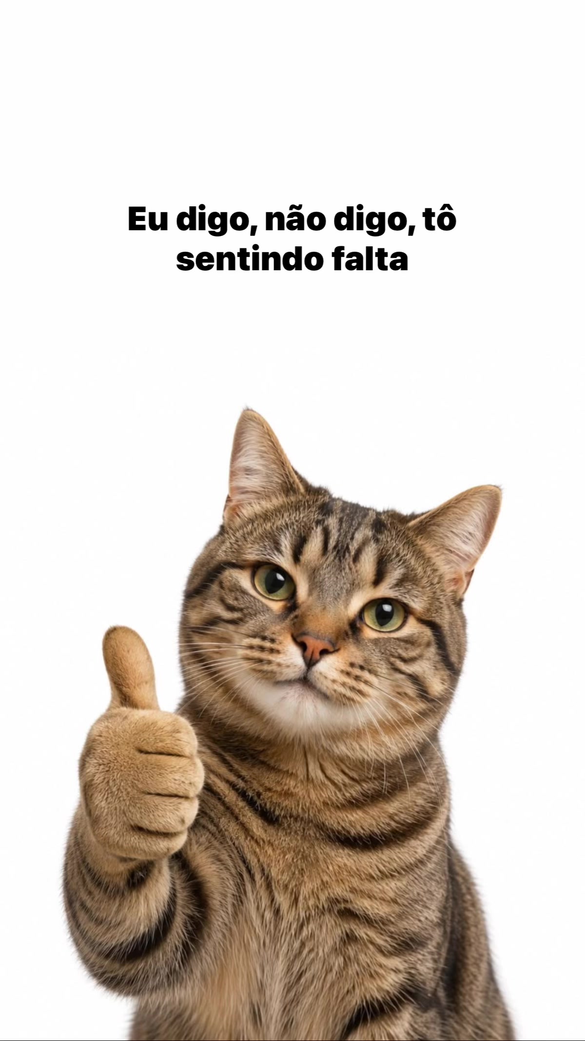 @user1606
