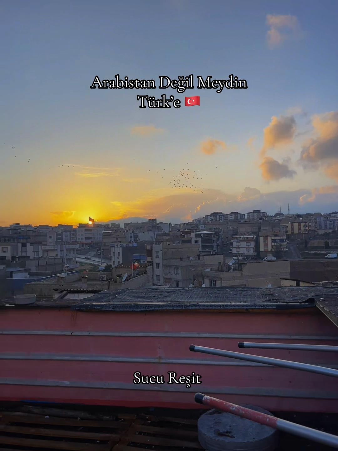 @Abdul Reşit Arıcak