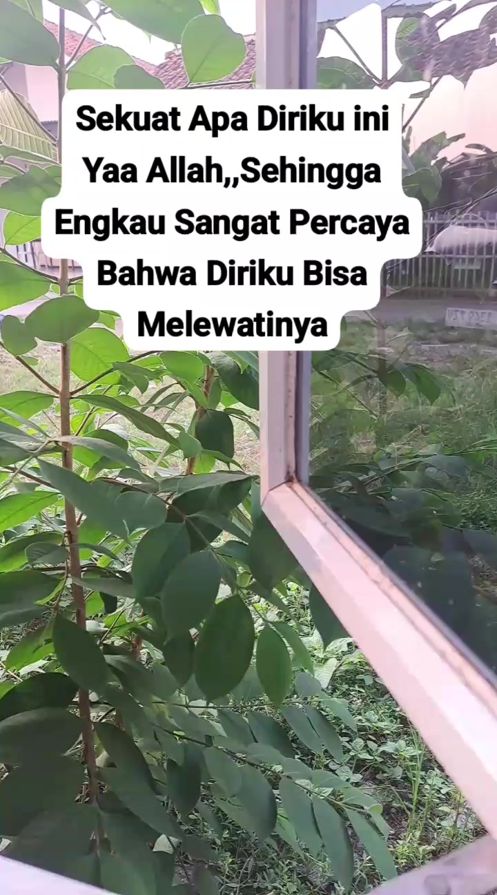 @Halimah Raka