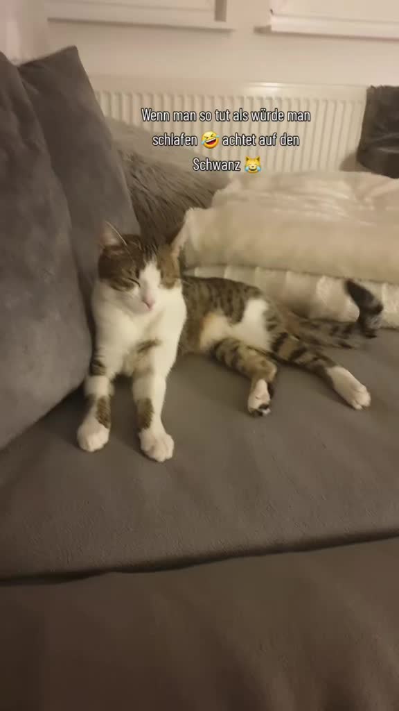 @Minnoş❤💙61
