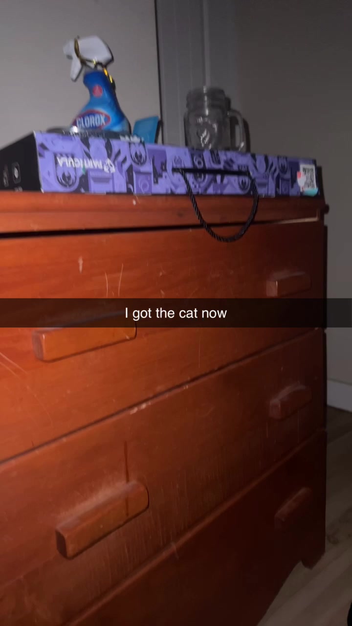 @noamipt1