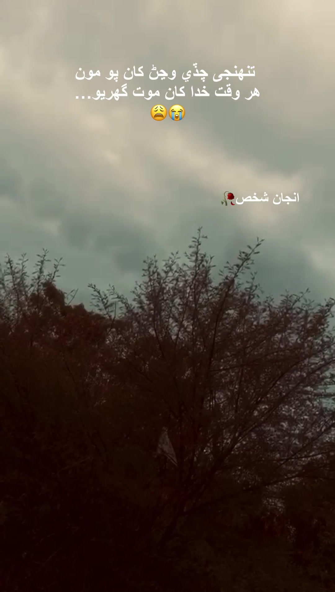 @انجاں شخص 🌘