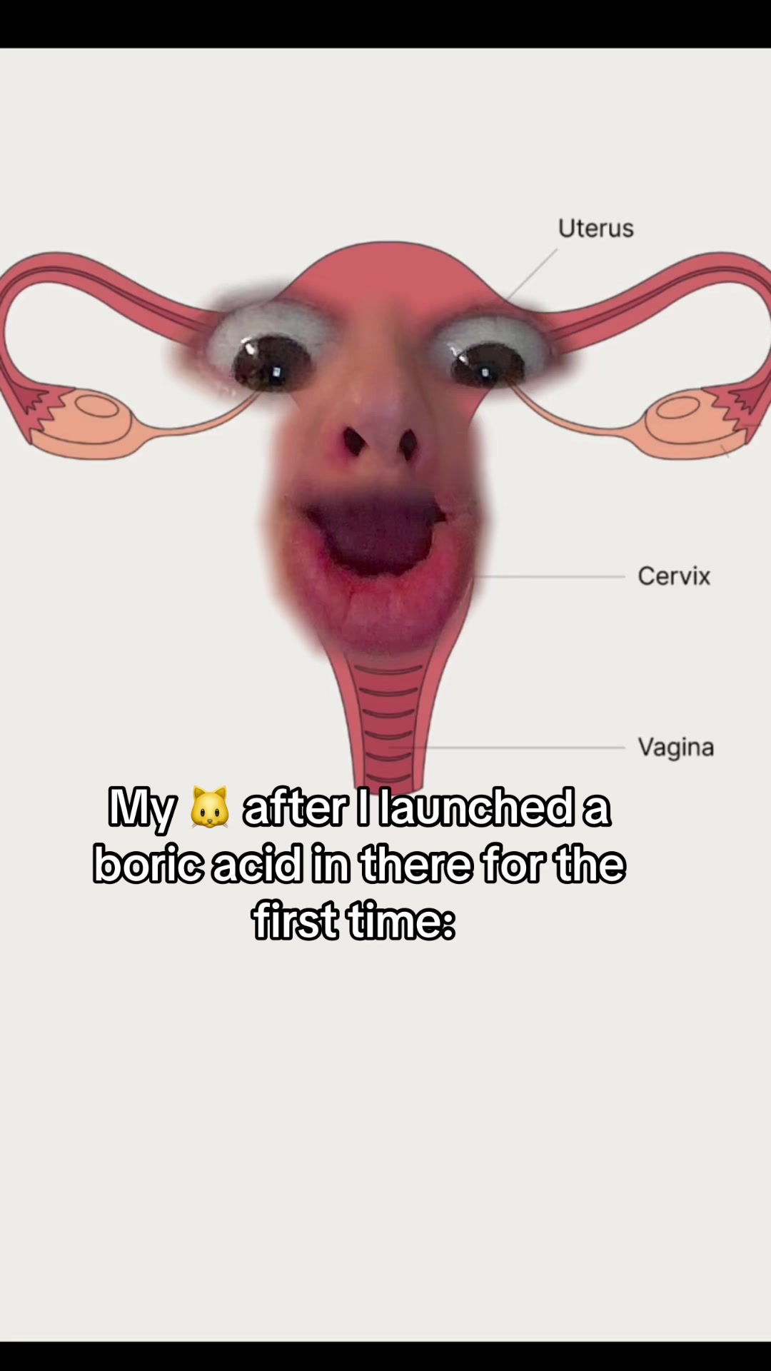 @Evvy