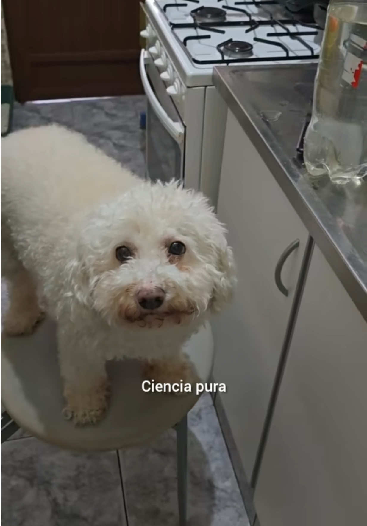 @Nico Flemita
