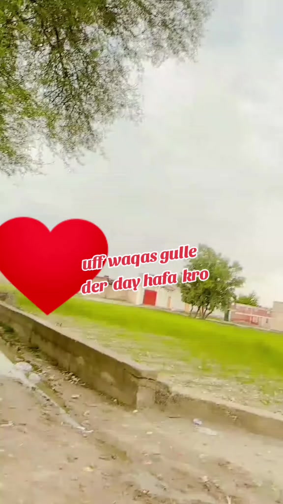 @A❤️N SWEETY 💕 GULL