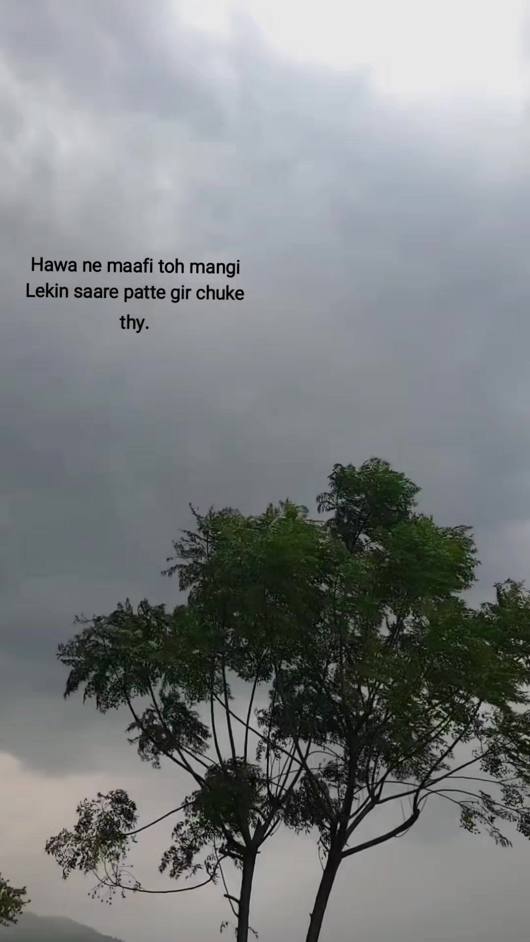 @راجہ سامیہ🌷
