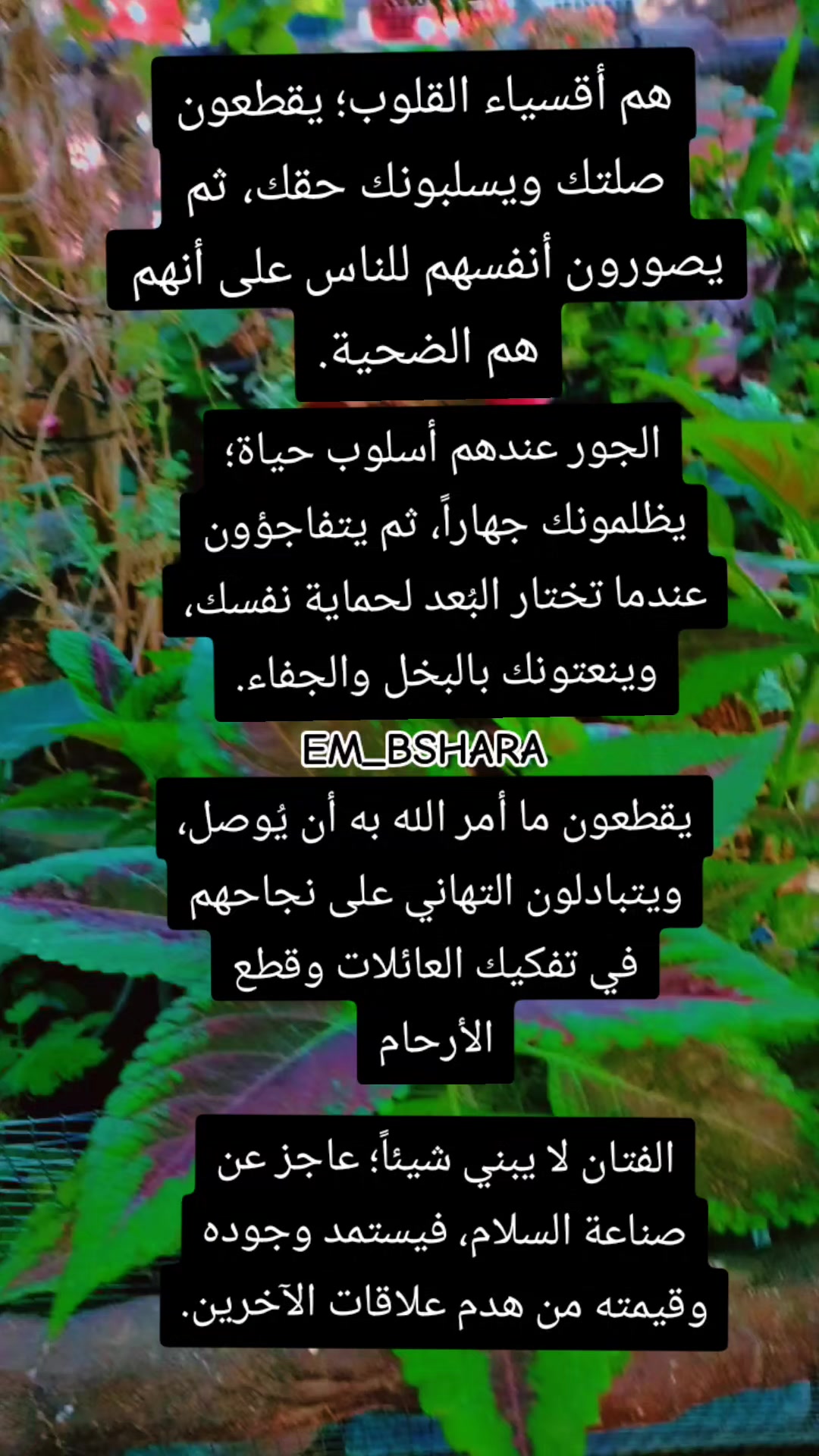 @🖌️🎨أم بشارة 🖌️🎨