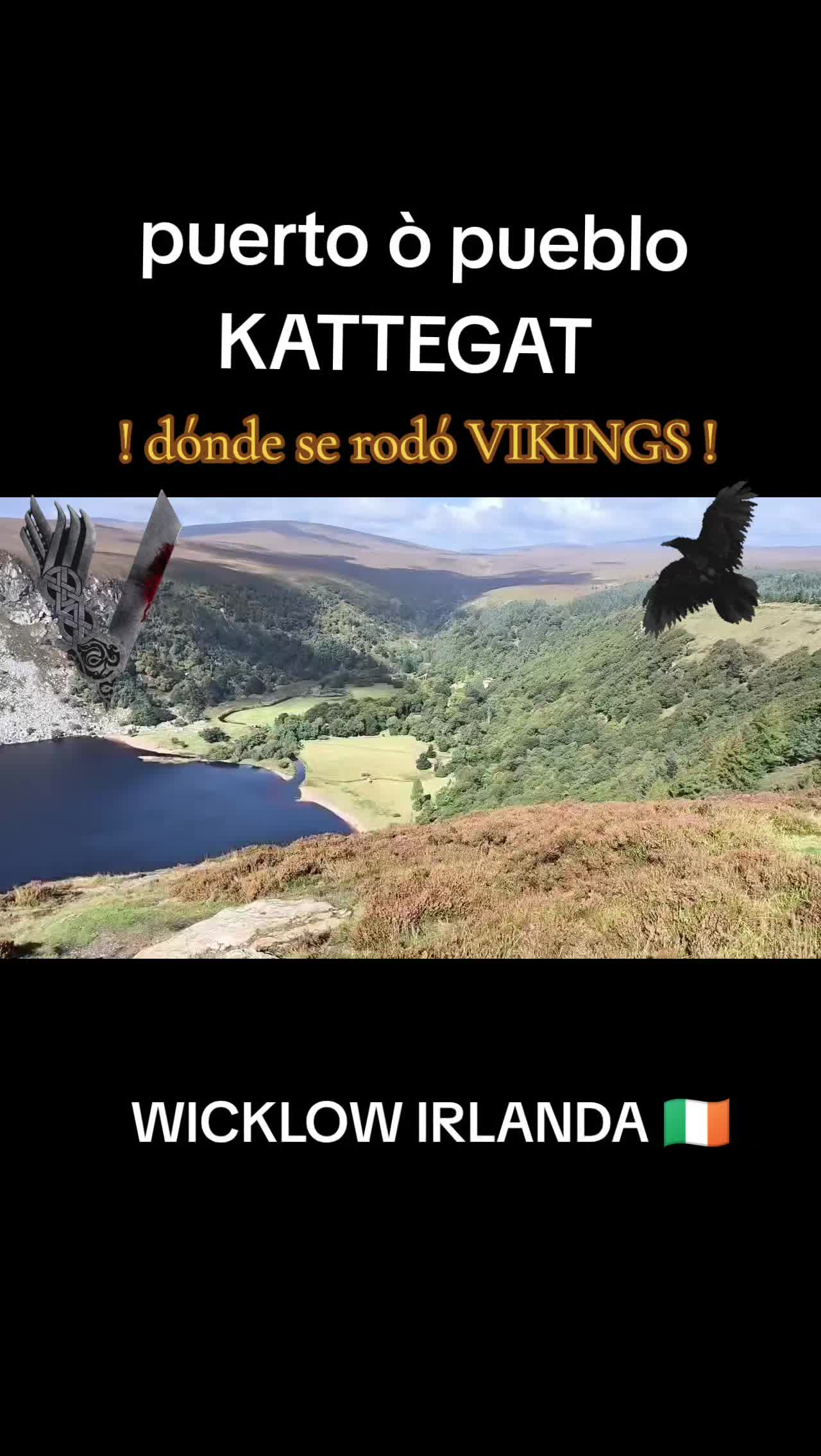 @EL VIKINGO CANARIO 🪓🇮🇨🐦⬛
