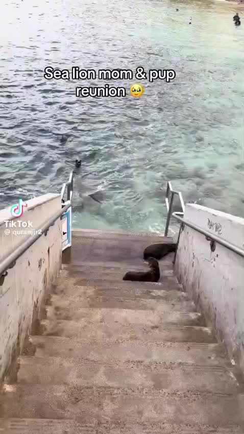 @jf17t