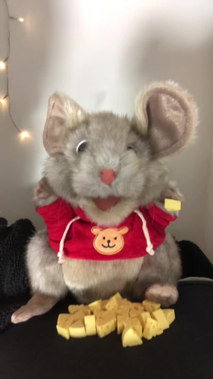 @mozzythemouse