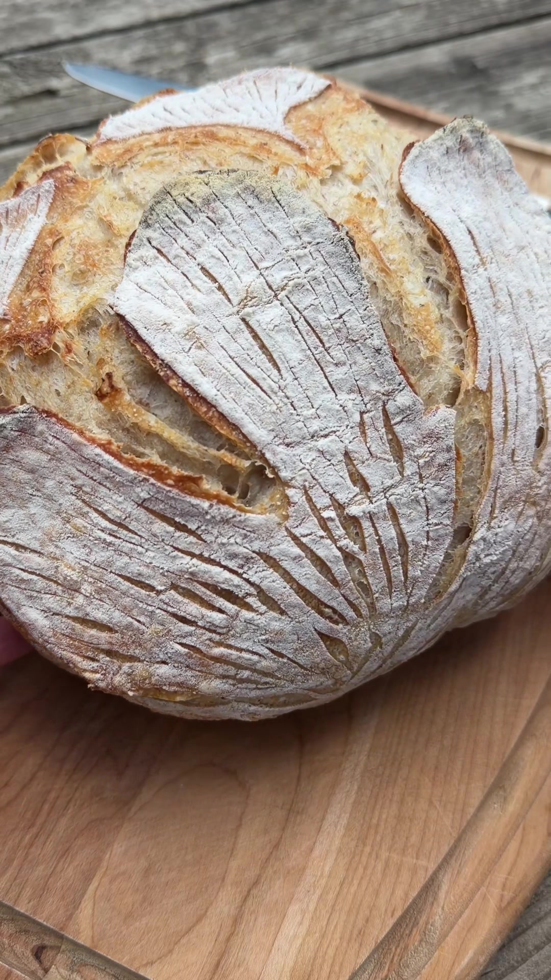 @The Heart of Bread