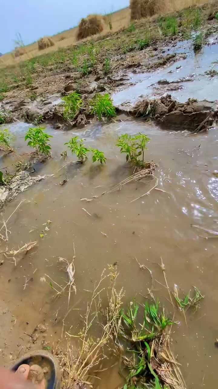 @𝒜𝓀𝓇𝒶𝓂 𝒞𝒽𝒶𝒹𝒹𝒽𝒶𝓇