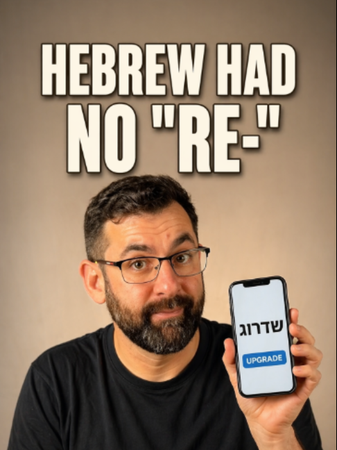 @Elon Gilad