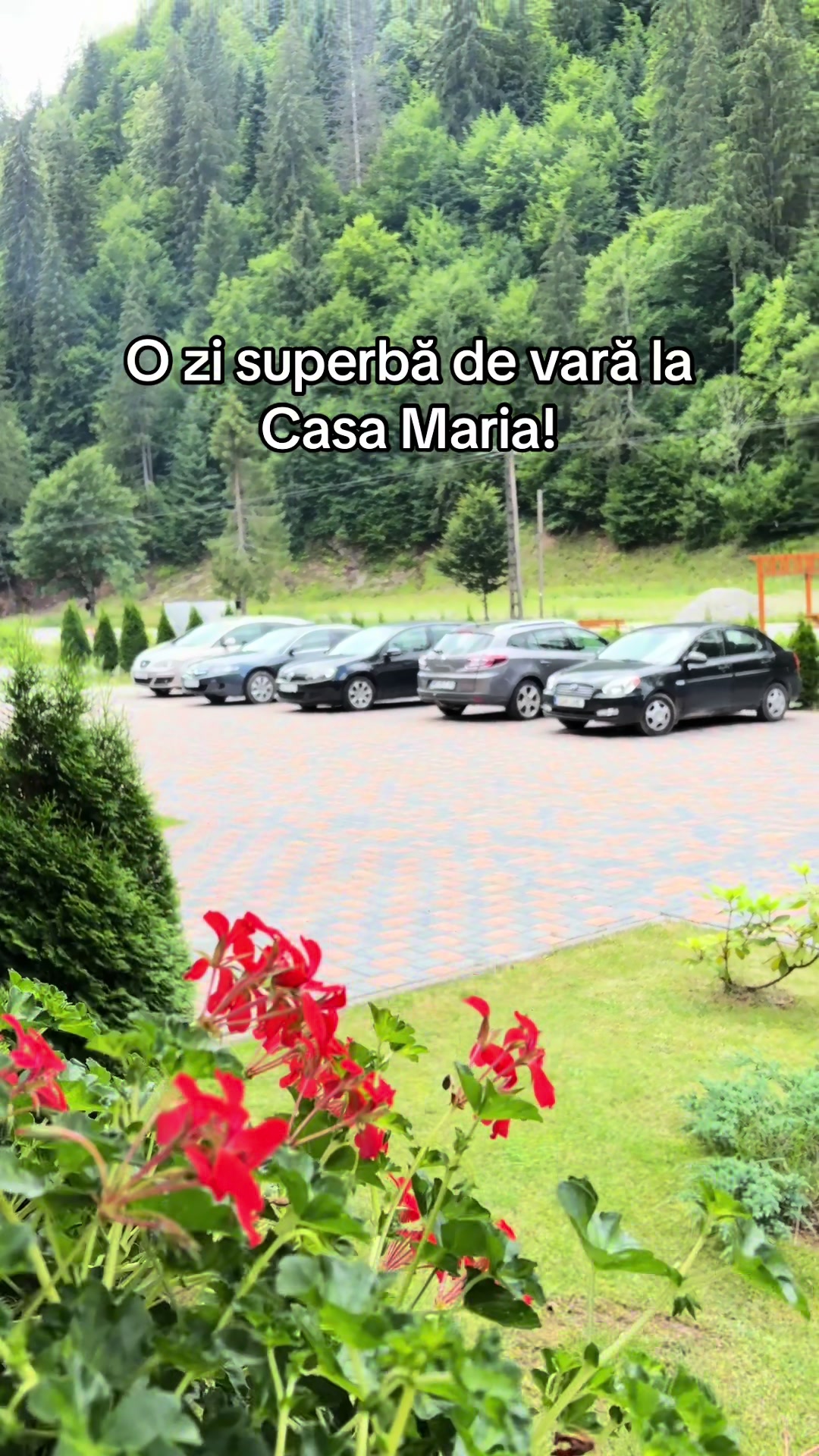 @Pensiunea Casa Maria
