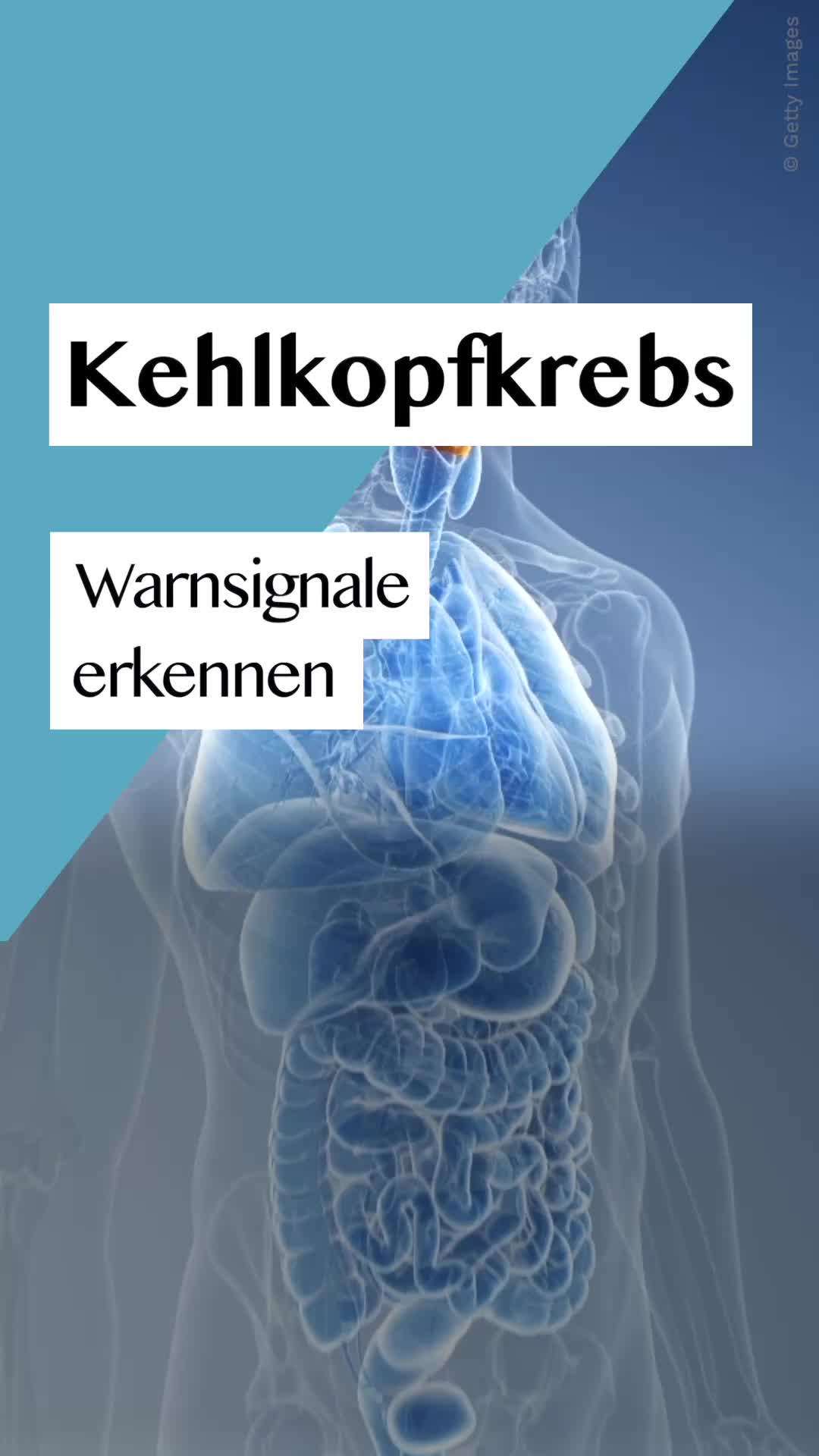 @Onmeda.de