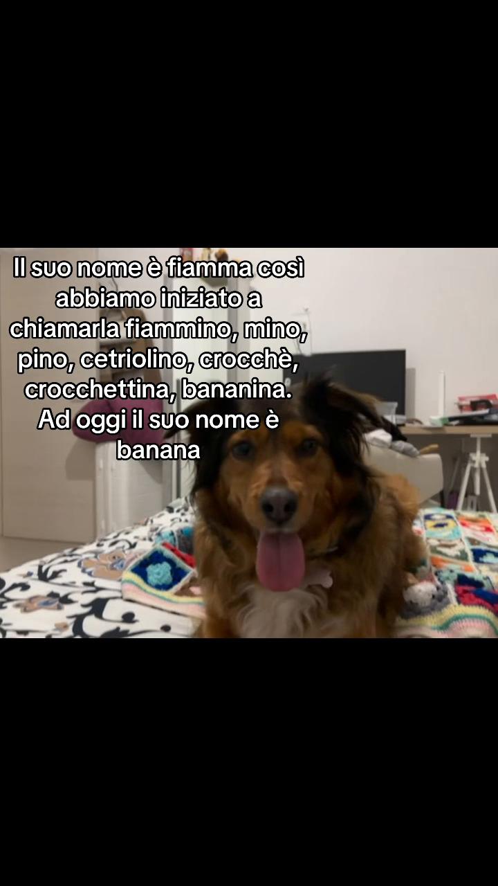 @ale foglia