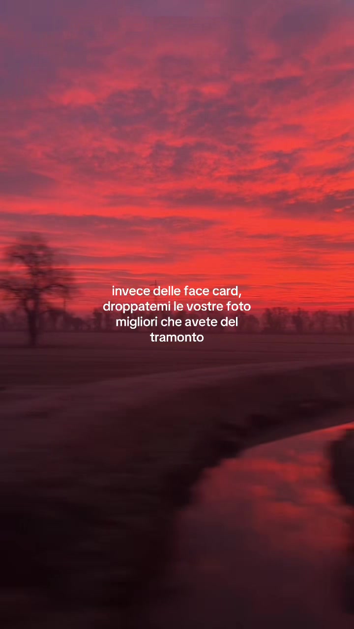 @alice proietti