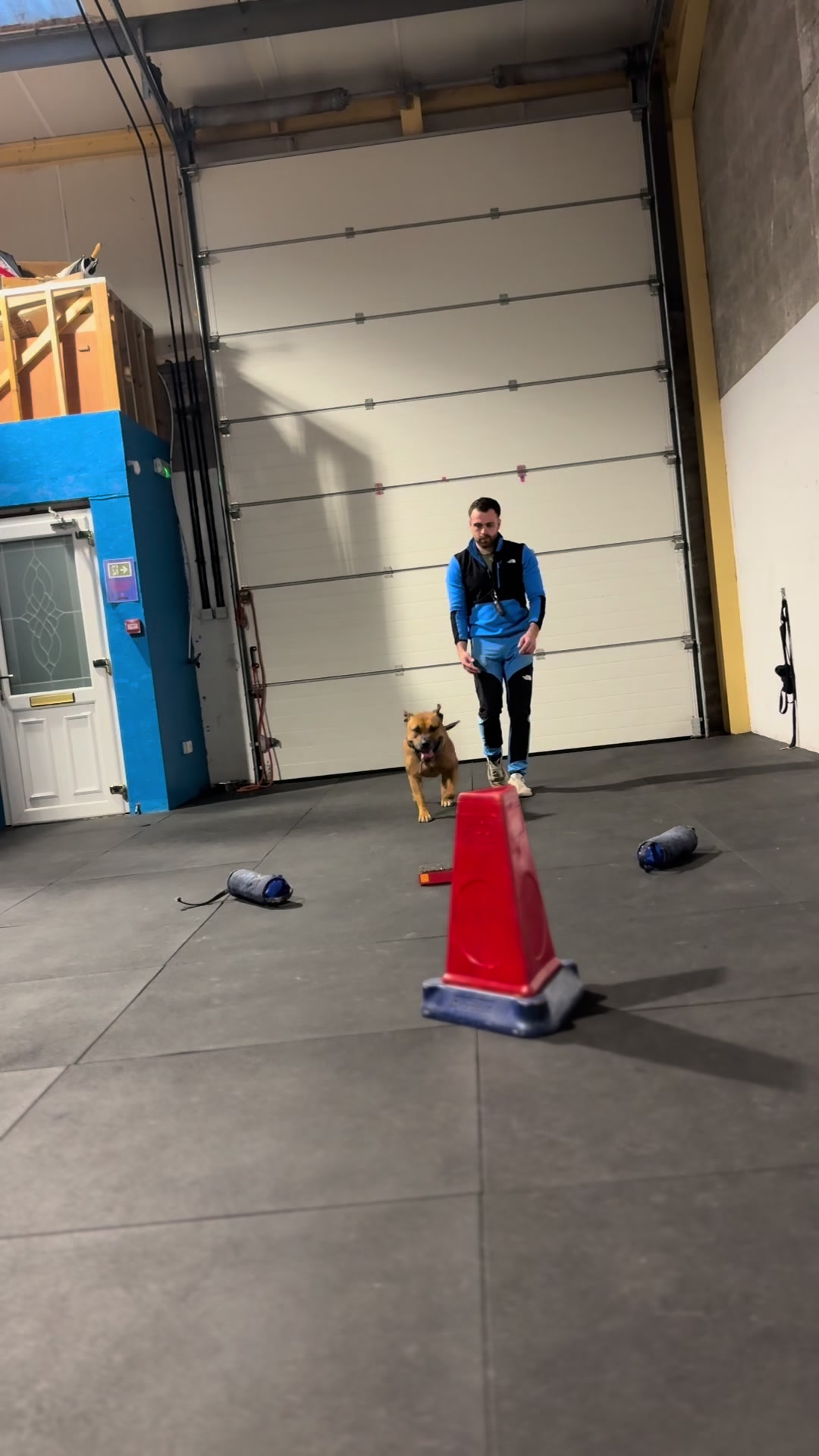 @Michael || Dog Trainer