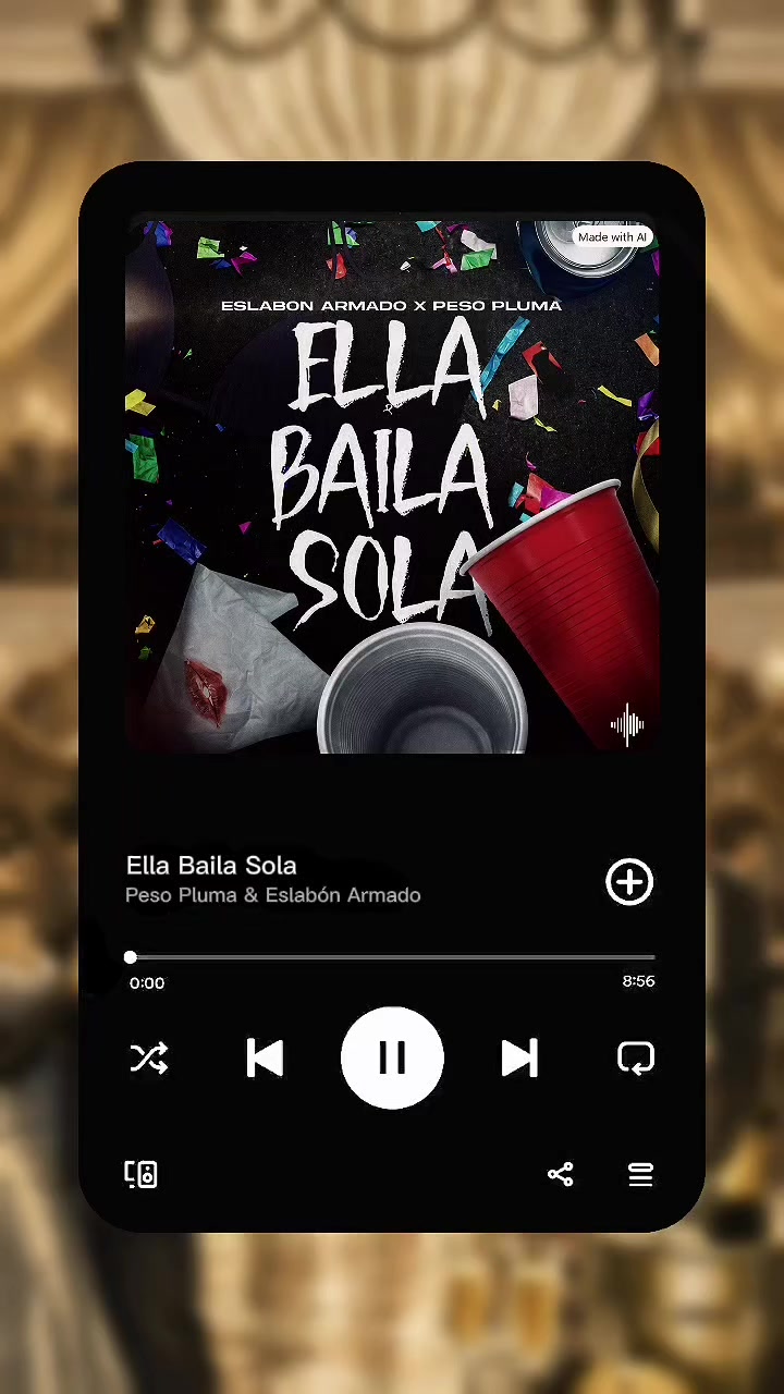 @La Coleccionista De Canciones