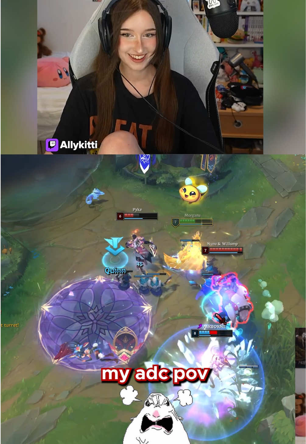 @twitch.tv/allykitti