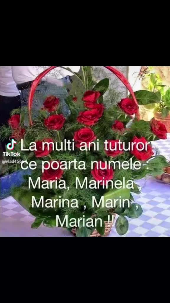 @Constantin Sanea