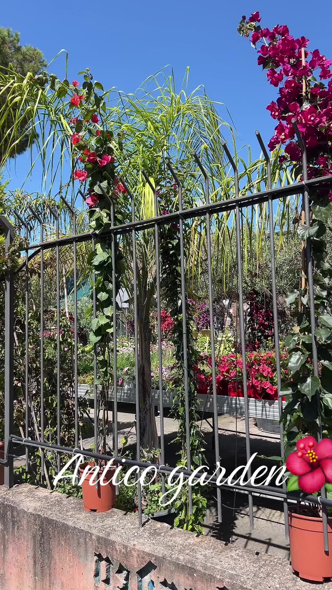 @vivaioanticogarden