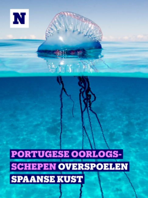 @Nieuwsblad