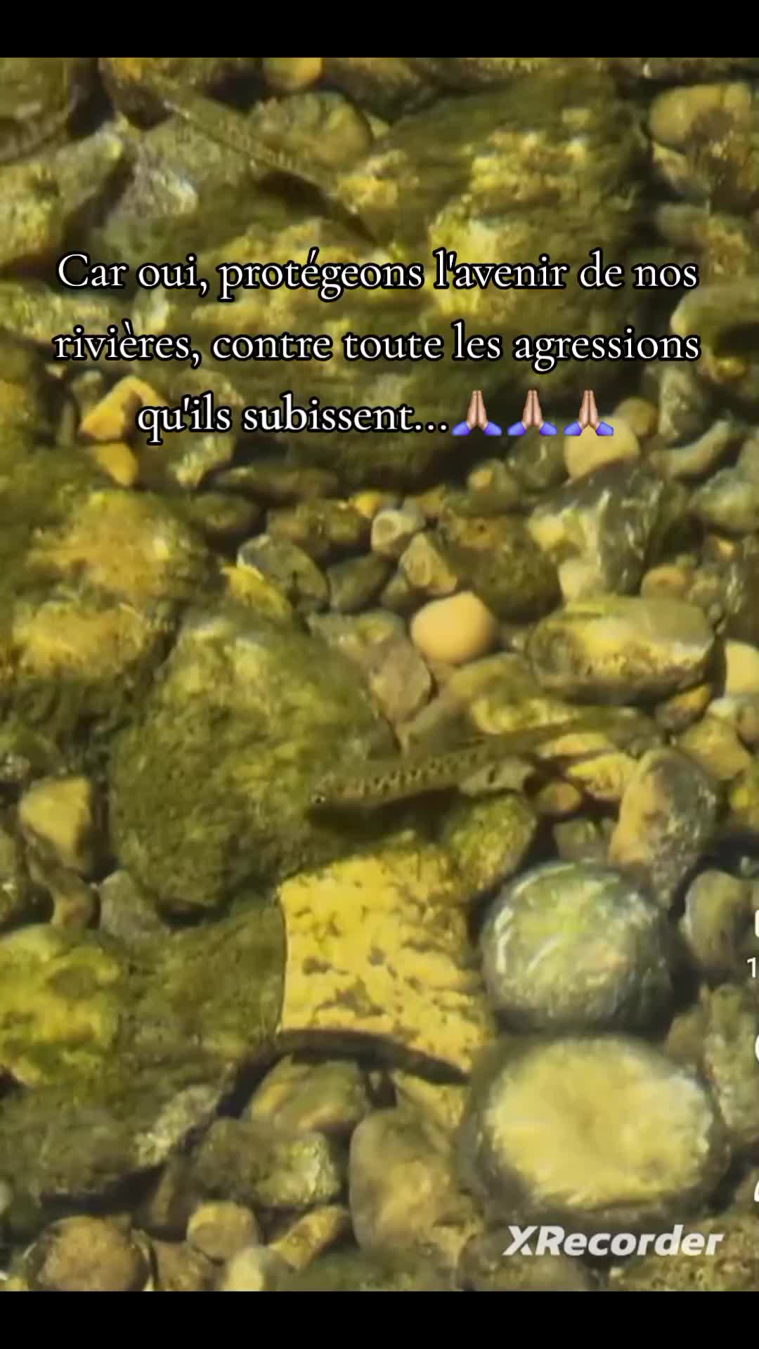 @rivi&egrave;res comtoises &agrave; l'agonie