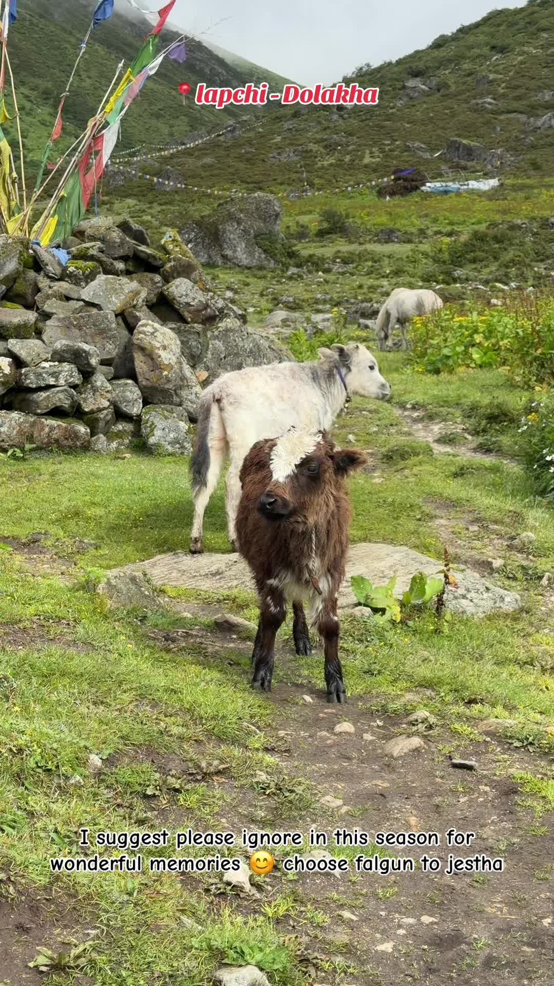 @Bijaya Nepal
