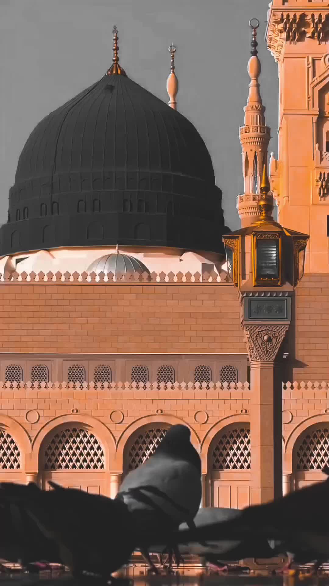 @𝙄𝙨𝙡𝙖𝙢𝙞𝙘_𝙩𝙮𝙥𝙞𝙨𝙩✨🌸