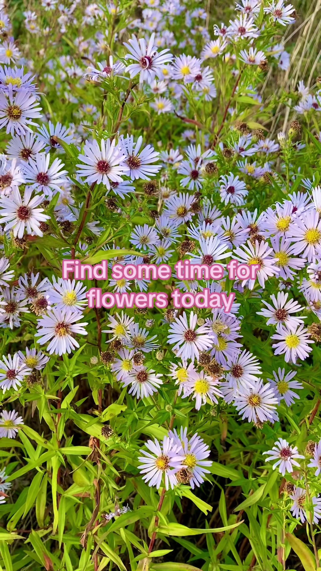 @Emily Oliver