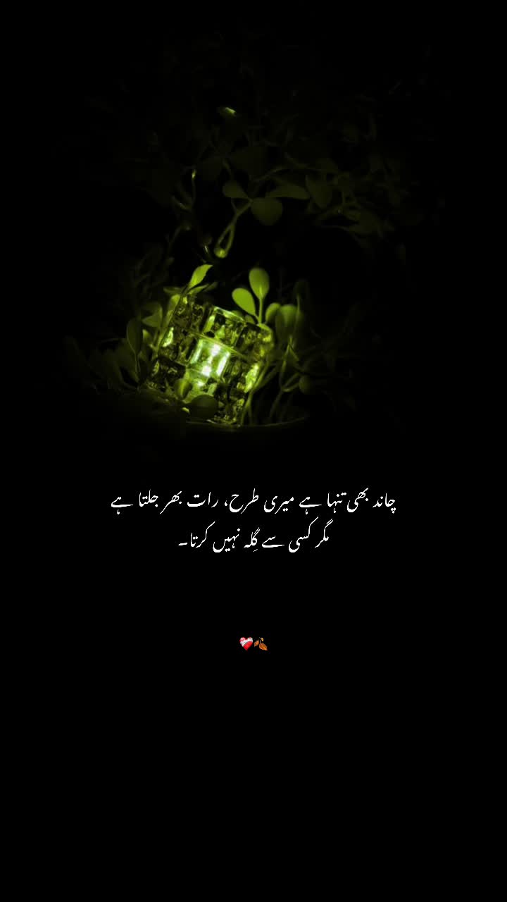 @عباسی🥀