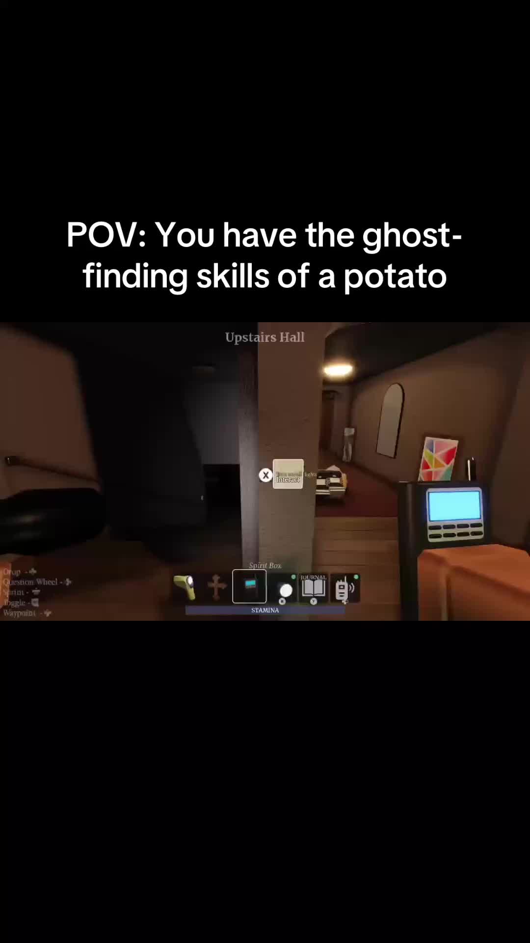 @lew6568