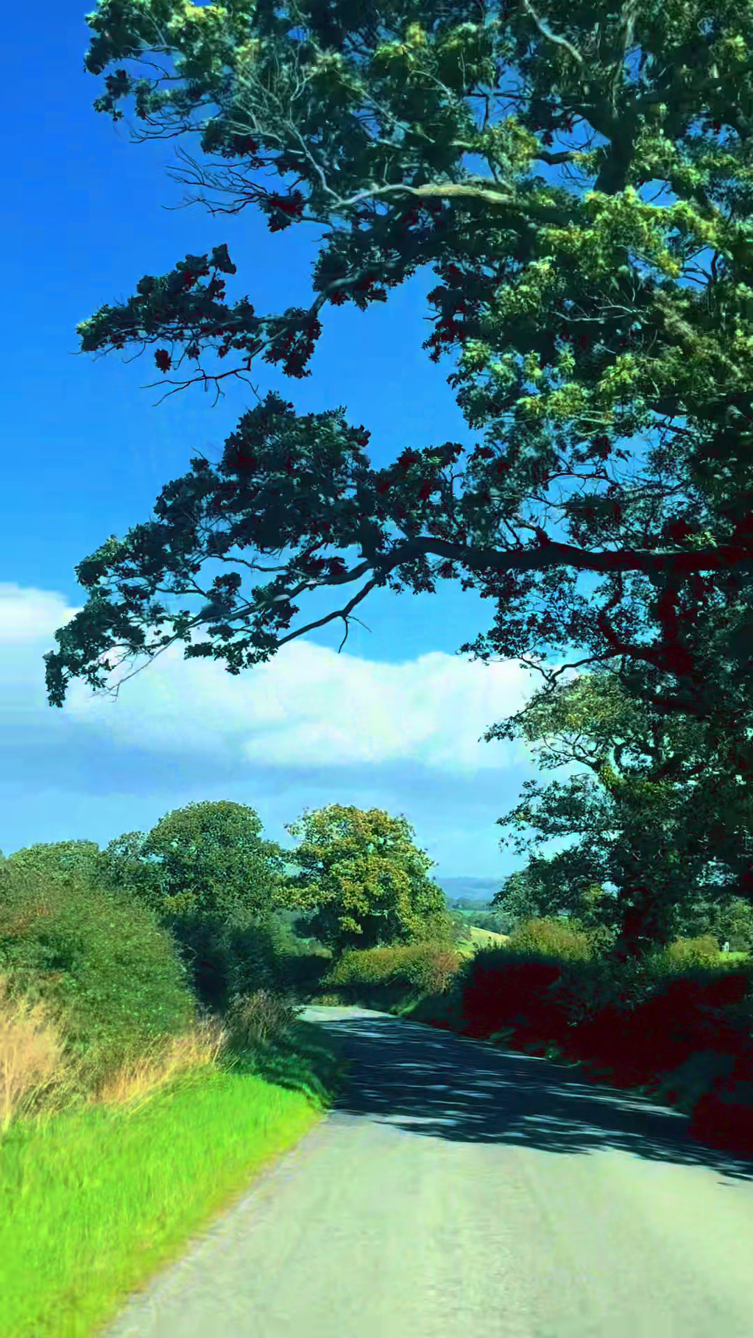 @💨♥️ᴀsʜꨄ︎🇬🇧💨