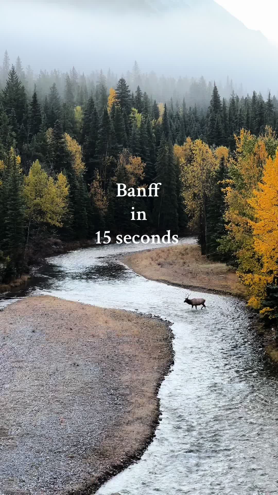 @DandRwanders