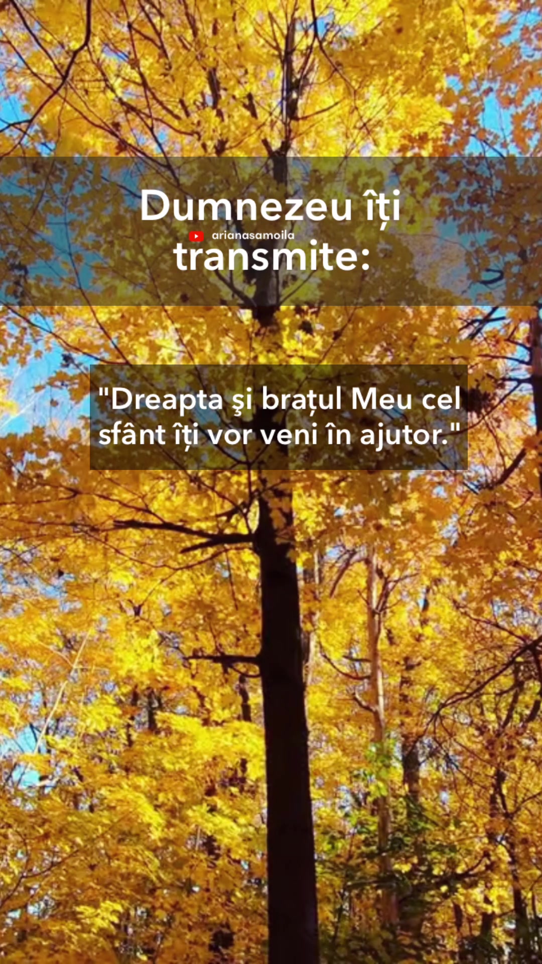 @Ariana Samoilă