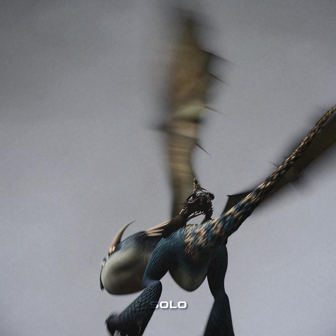 @SOLO