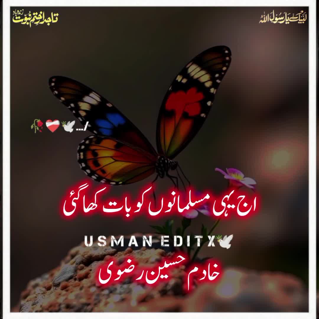 @سلطنت رضویہ 😍😍