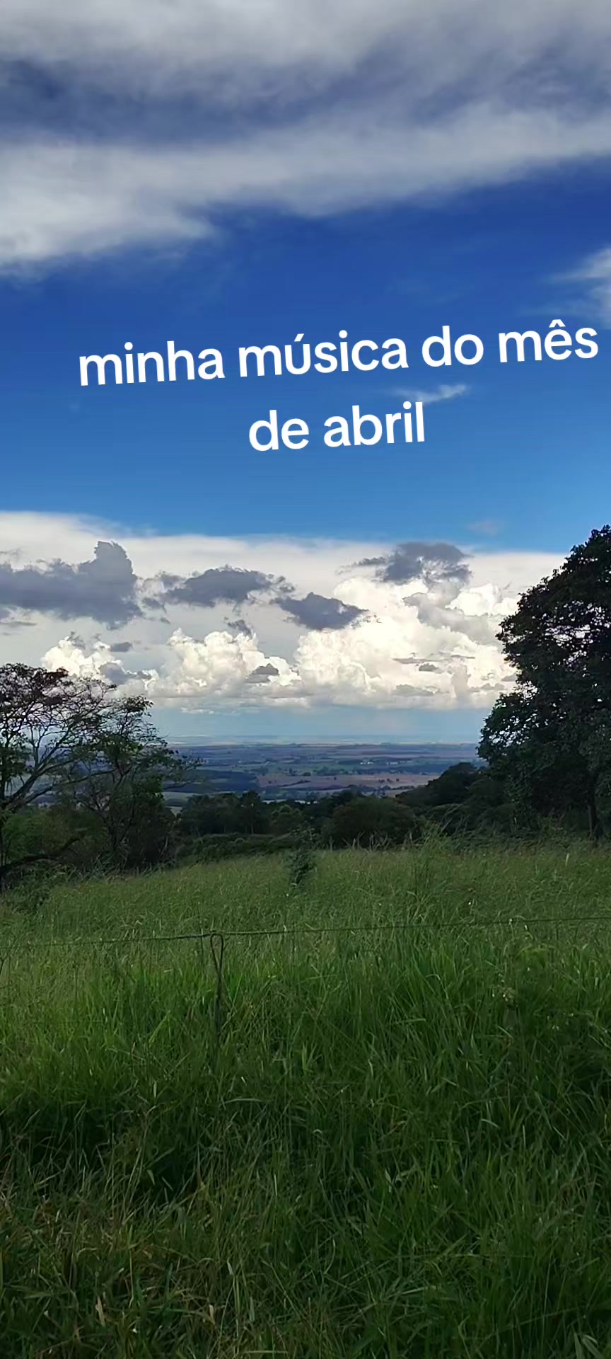 @aparecidamachado303