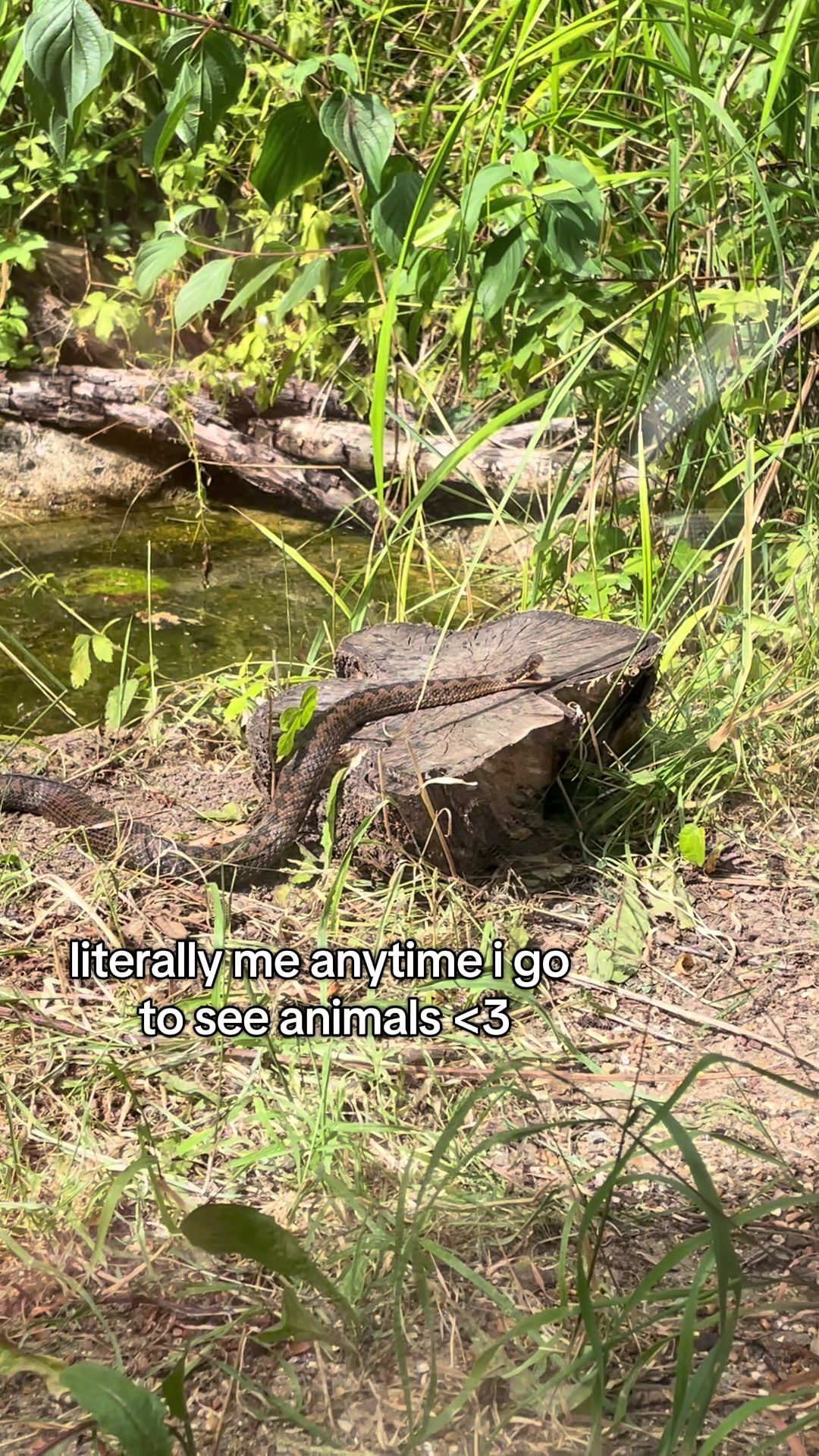 @Chloe Parker