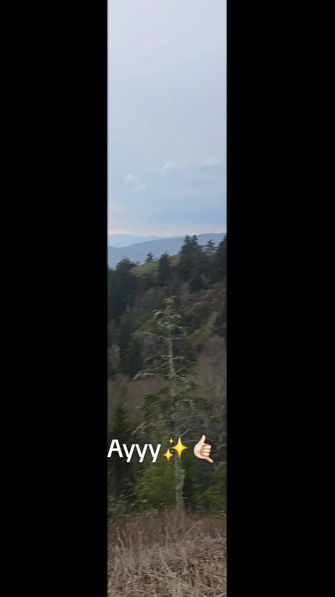 @MalPal(: