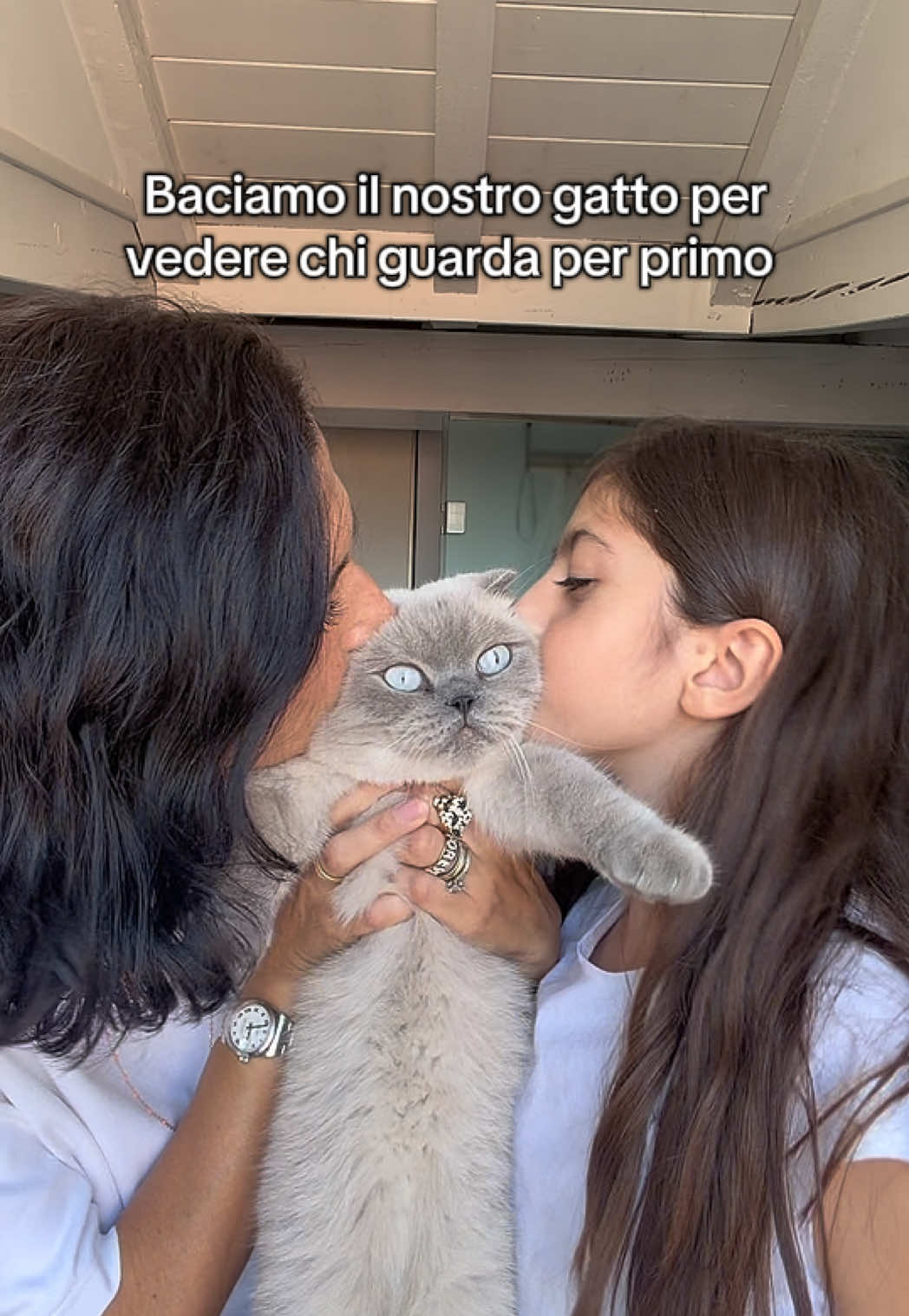 @Veronica