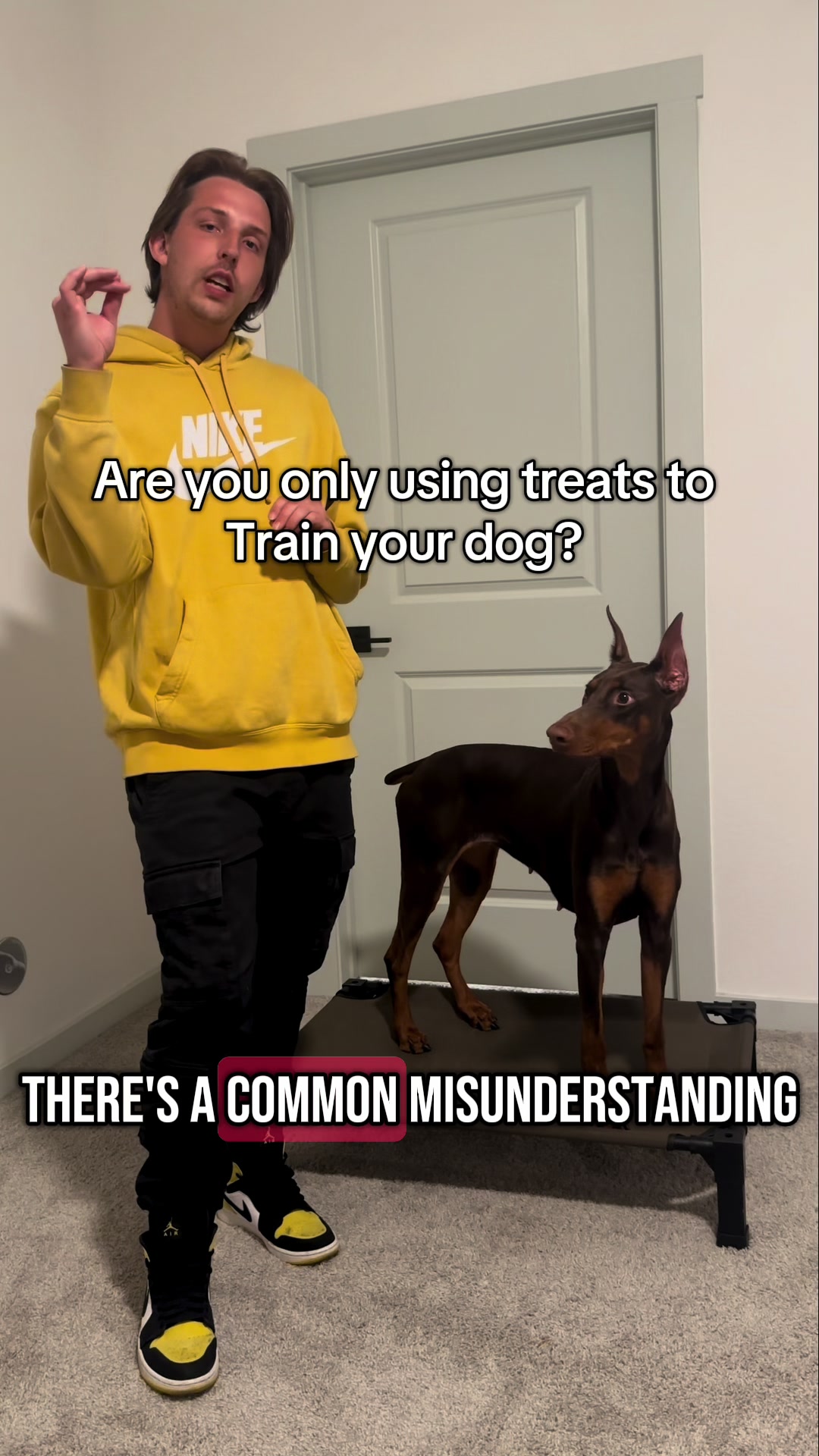 @tylerthek9trainer