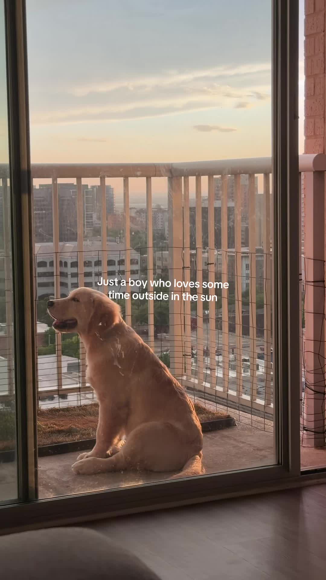 @Luca the Golden