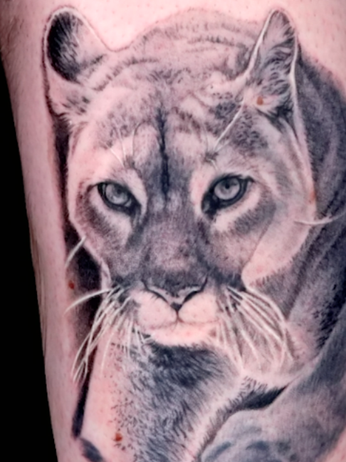 @Ink Master